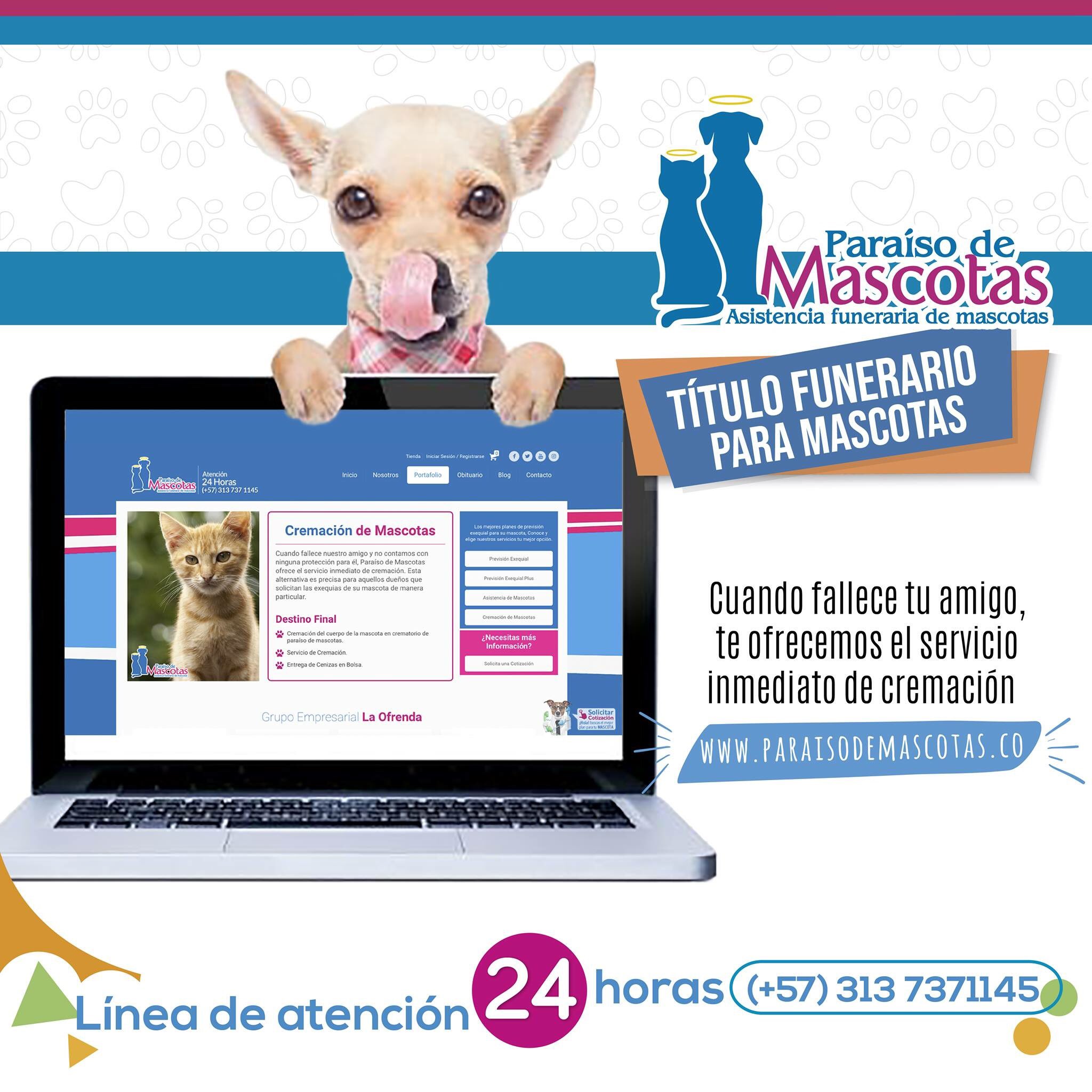 Paraíso de Mascotas on Twitter: Paraíso de Mascotas on Twitter: