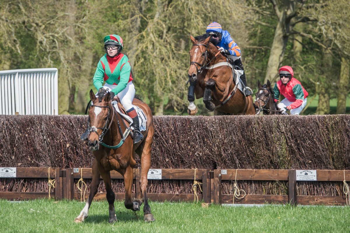 freddiethelab's tweet photo. #revesbyraces #pointtopoint https://t.co/G0GgyNBYAm