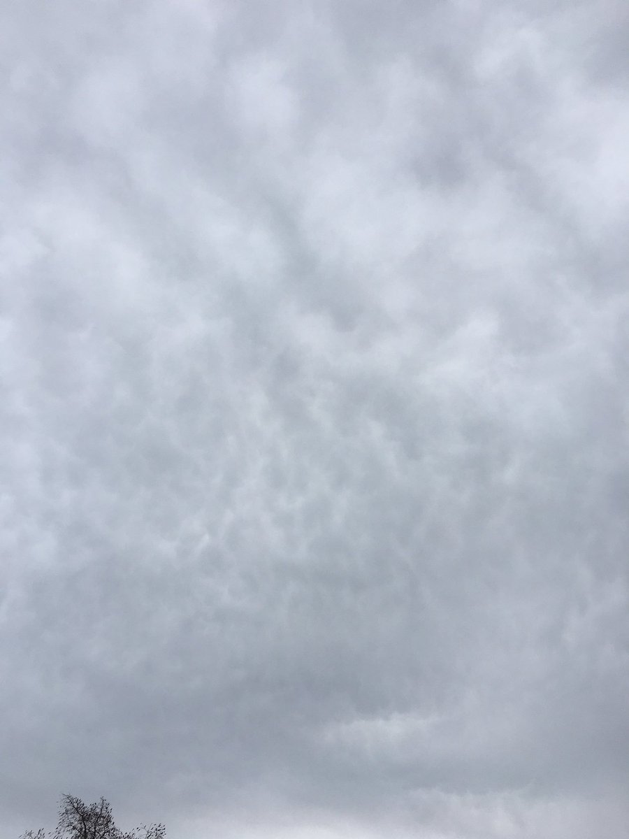 angela_mcsharry's tweet image. #skyprojectchicago #theskyproject @chicagobotanic