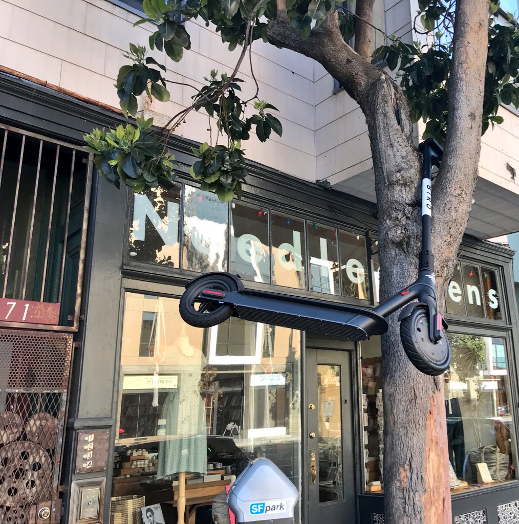 An electric scooter from one of those startups that leaves them around has been wedged into a tree about 4 feet off the ground