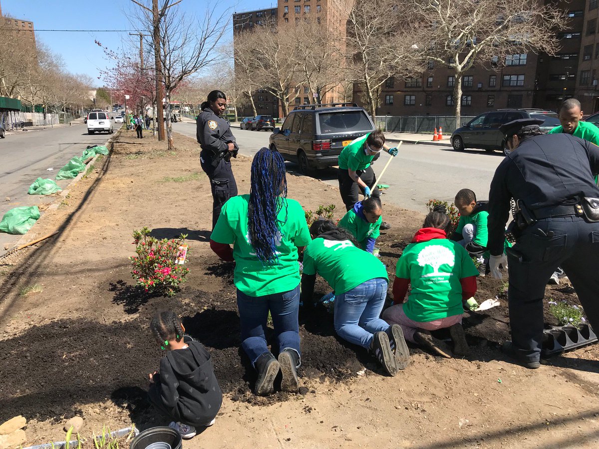 NYPDPSA8's tweet photo. Take a look at Randall Avenue all that trash has been replaced with flowers, grass seed & a bunch of smiles. We had lot's of fun! Thanks to all who supported #community @BharatiKemraj @NYCHA @NYCSanitation @NYPDauxiliary @PRSLTF #NCOs #Explorers #CommAffairs @NYPD43Pct #Patrol https://t.co/VbqLyUVCk0