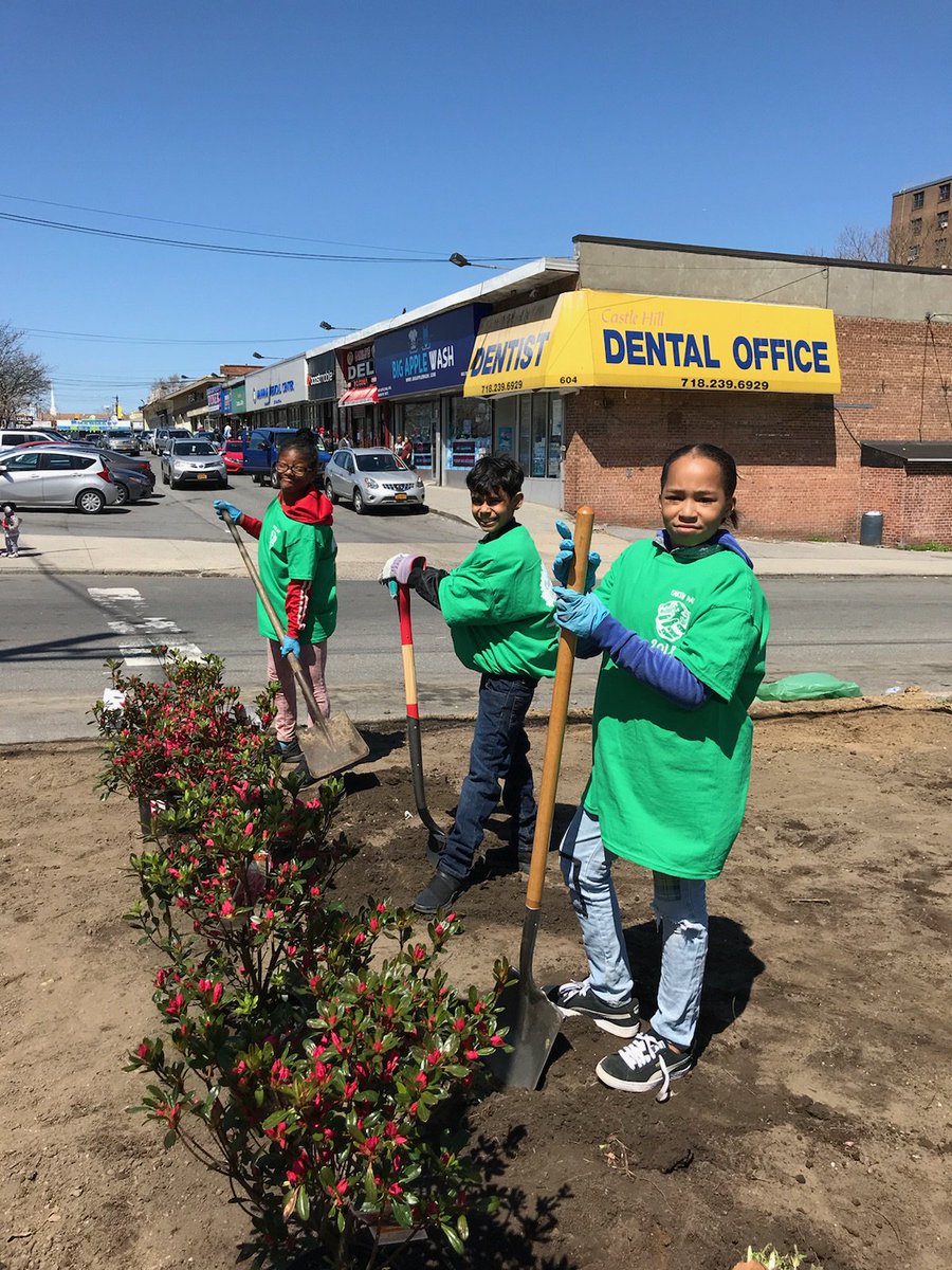 NYPDPSA8's tweet photo. Take a look at Randall Avenue all that trash has been replaced with flowers, grass seed & a bunch of smiles. We had lot's of fun! Thanks to all who supported #community @BharatiKemraj @NYCHA @NYCSanitation @NYPDauxiliary @PRSLTF #NCOs #Explorers #CommAffairs @NYPD43Pct #Patrol https://t.co/VbqLyUVCk0