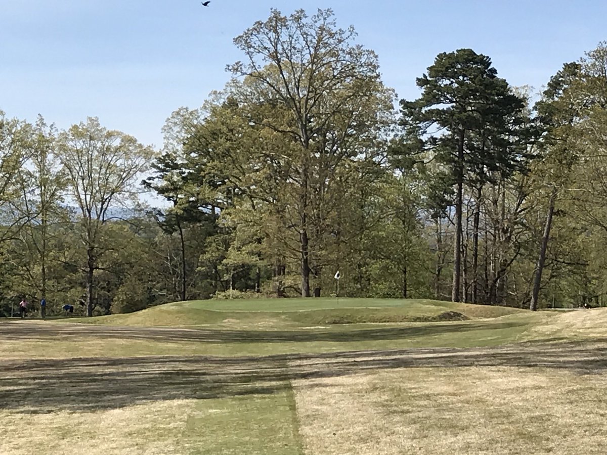 IHCCGreenkeeper's tweet photo. I’ve never had the pleasure of playing @RoyalTroonGC &amp; experiencing the Postage Stamp but I think the 17th @MimosaHillsCC has to be close. #smalltarget https://t.co/5k0GPDgOck
