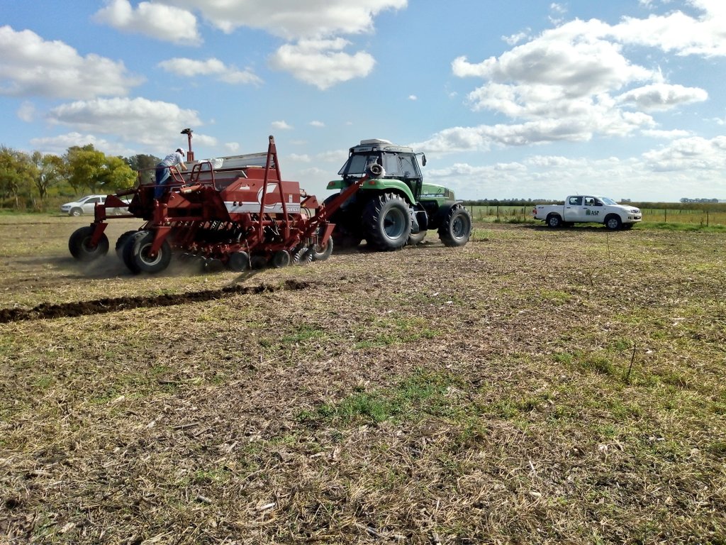 NutrienIyDSurAR's tweet photo. 🌄Hoy sembramos el ensayo de fertilización a largo plazo de alfalfa, en la Chacra Experimental de Bellocq🌄
✔️Análisis de suelo ✔️Fertilizantes ✔️Coating ✔️ Echelon
Gracias al equipo de ASP Bolívar por la ayuda y, a Eduardo y Carolina de la Chacra. https://t.co/BPBD07WOaM