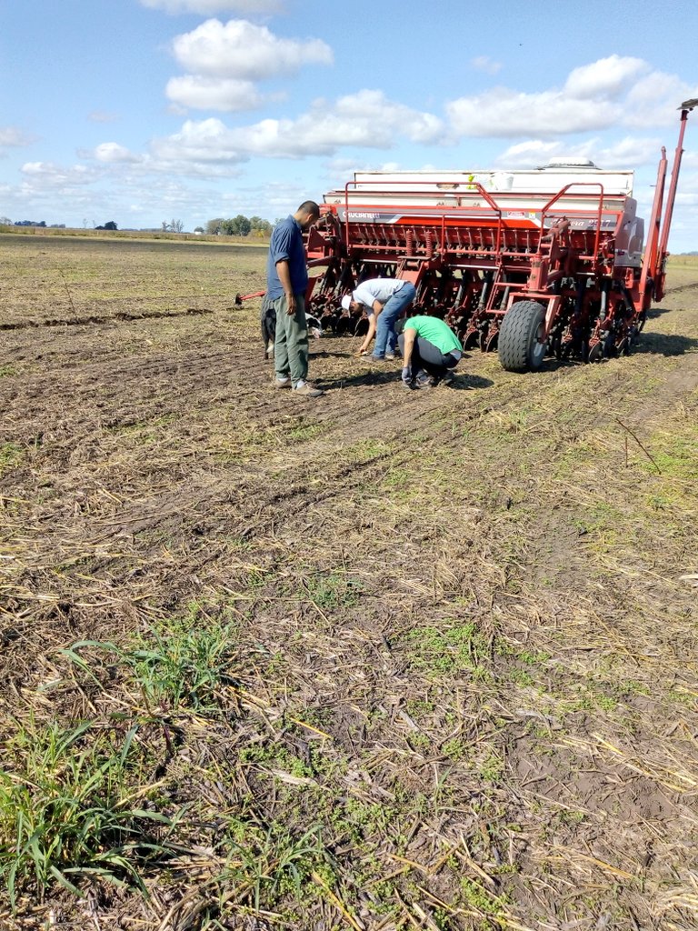 NutrienIyDSurAR's tweet photo. 🌄Hoy sembramos el ensayo de fertilización a largo plazo de alfalfa, en la Chacra Experimental de Bellocq🌄
✔️Análisis de suelo ✔️Fertilizantes ✔️Coating ✔️ Echelon
Gracias al equipo de ASP Bolívar por la ayuda y, a Eduardo y Carolina de la Chacra. https://t.co/BPBD07WOaM