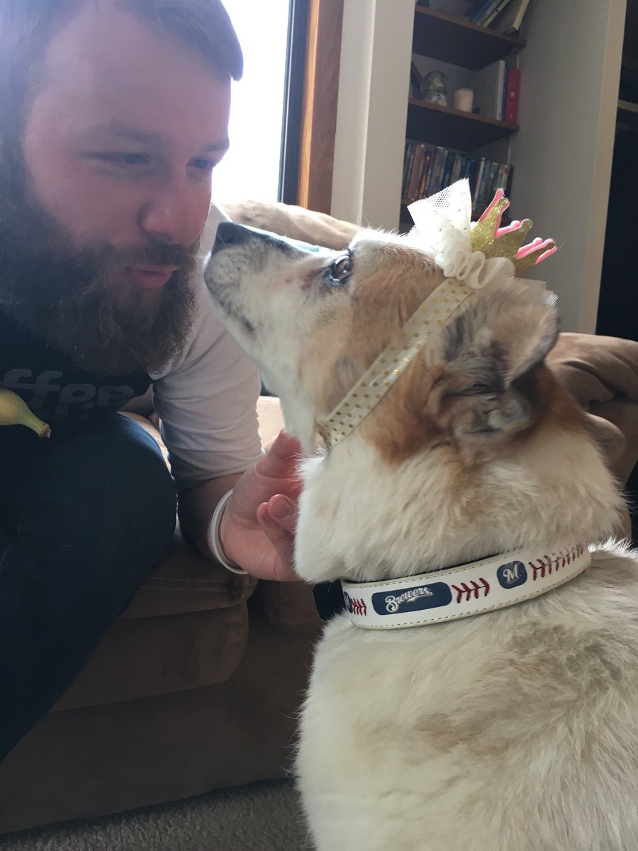 AdventurerCora's tweet photo. Pictured here: Lady’s love for Papa and her awesome #Brewers collar! #adoptionday #thisismycrew #superheronight https://t.co/BDeeIBhRwH
