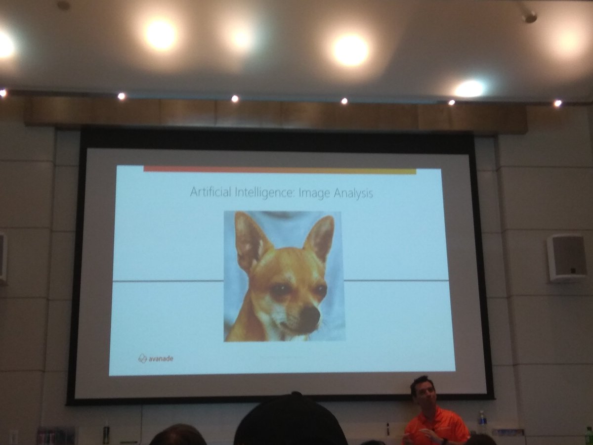 nirjash's tweet photo. Artificial Intelligence! 
#GlobalAzure 
#GlobalAzureTO
#GlobalAzureBootcamp2018 
$mtdnug https://t.co/PhgmEuuwZE