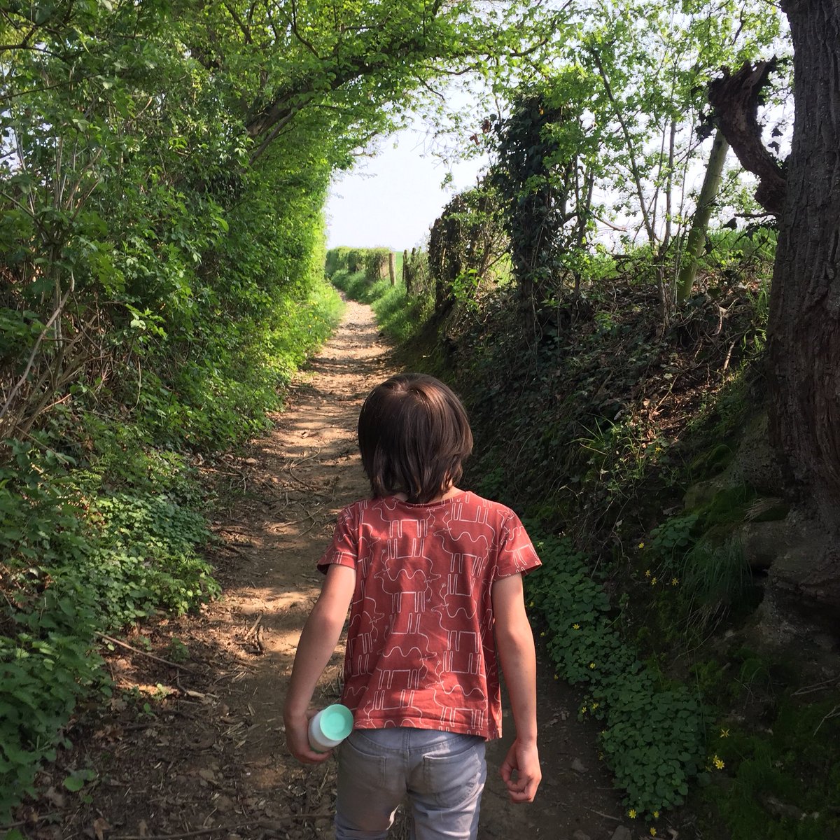 MyDailyGarbage's tweet photo. Geen lange duurloop vandaag maar een super gezellig wandeling met de kinderen door het mooie Zuid-Limburgse landschap. Had hier ook heel graag met mijn @loopmaatjes lekker willen hardlopen #hardloopkriebels https://t.co/mZBMNqhZpN