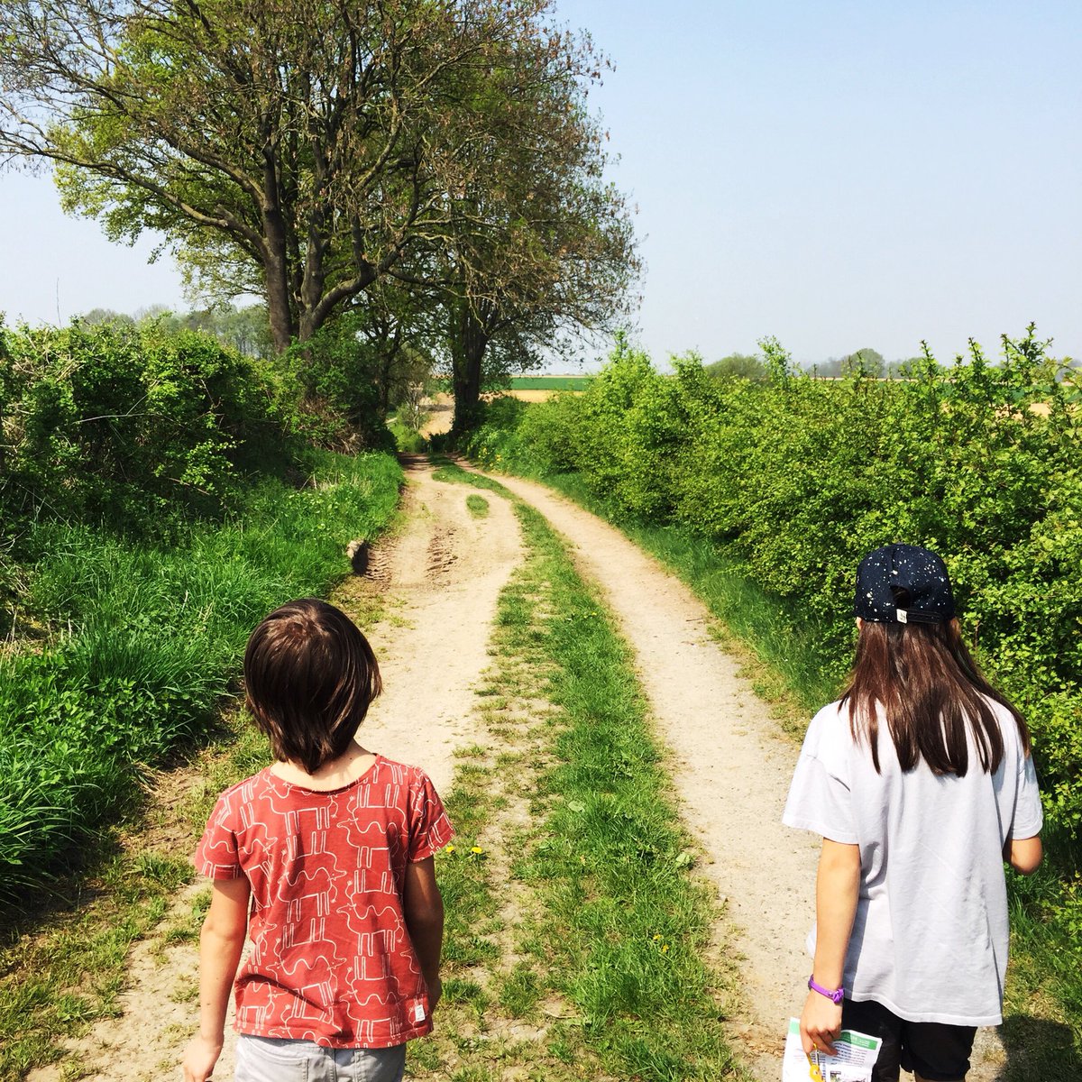 MyDailyGarbage's tweet photo. Geen lange duurloop vandaag maar een super gezellig wandeling met de kinderen door het mooie Zuid-Limburgse landschap. Had hier ook heel graag met mijn @loopmaatjes lekker willen hardlopen #hardloopkriebels https://t.co/mZBMNqhZpN