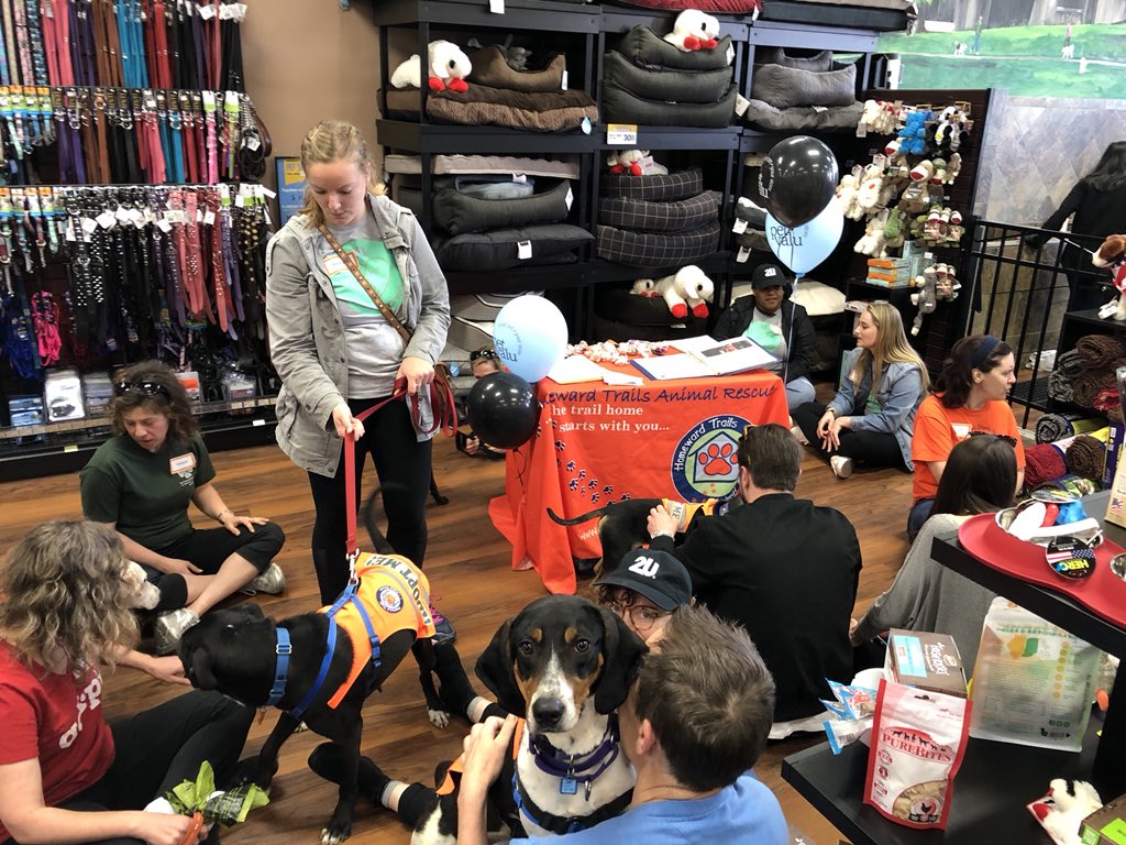 DaveDLeme's tweet image. Got to spend all day with these great 2UTES, foster parents, and hopeful new owners for @HomewardTrails and @2Uinc ‘s #DaysOfService #Lifeat2U #PuppyPile