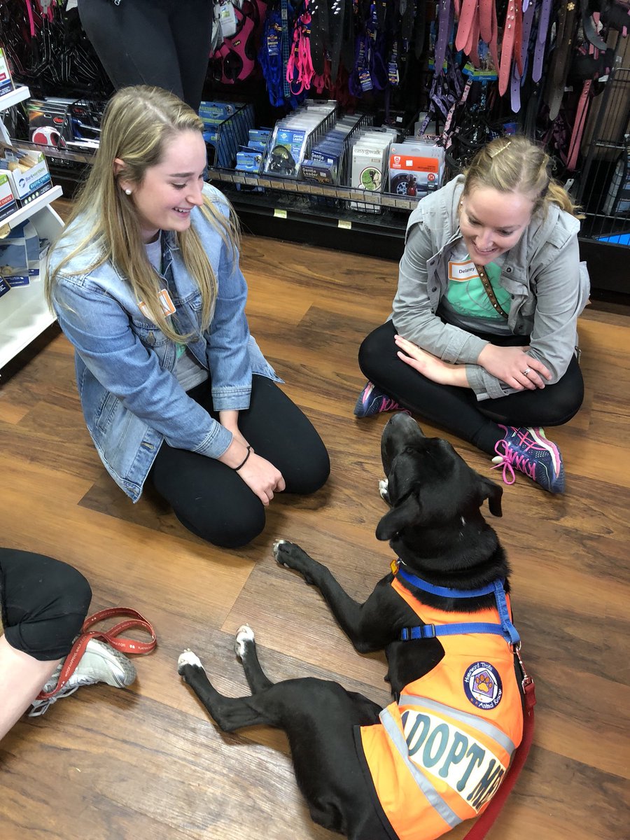 DaveDLeme's tweet image. Got to spend all day with Lexi and some 2UTEs from @HomewardTrails for @2Uinc and our #DaysOfService #Lifeat2U