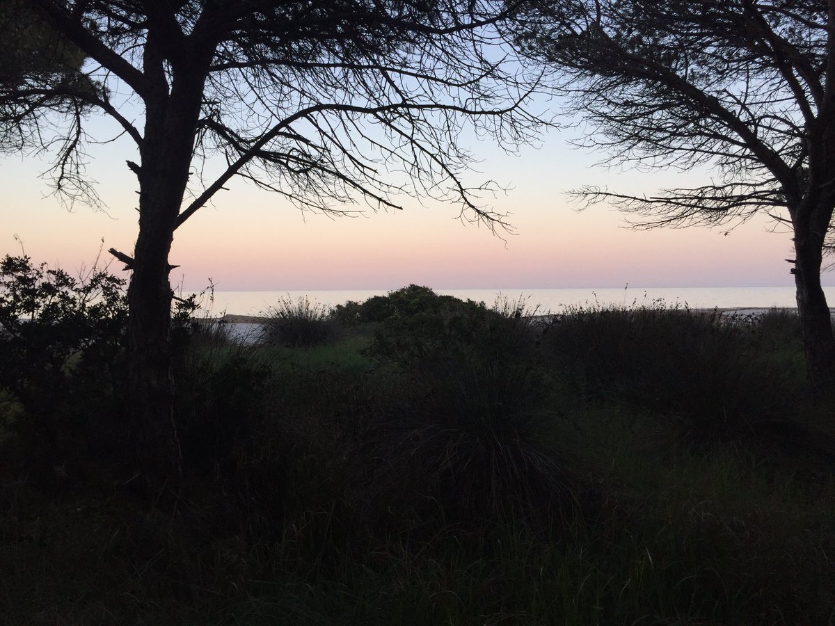 Giovanni Sedda tweet media