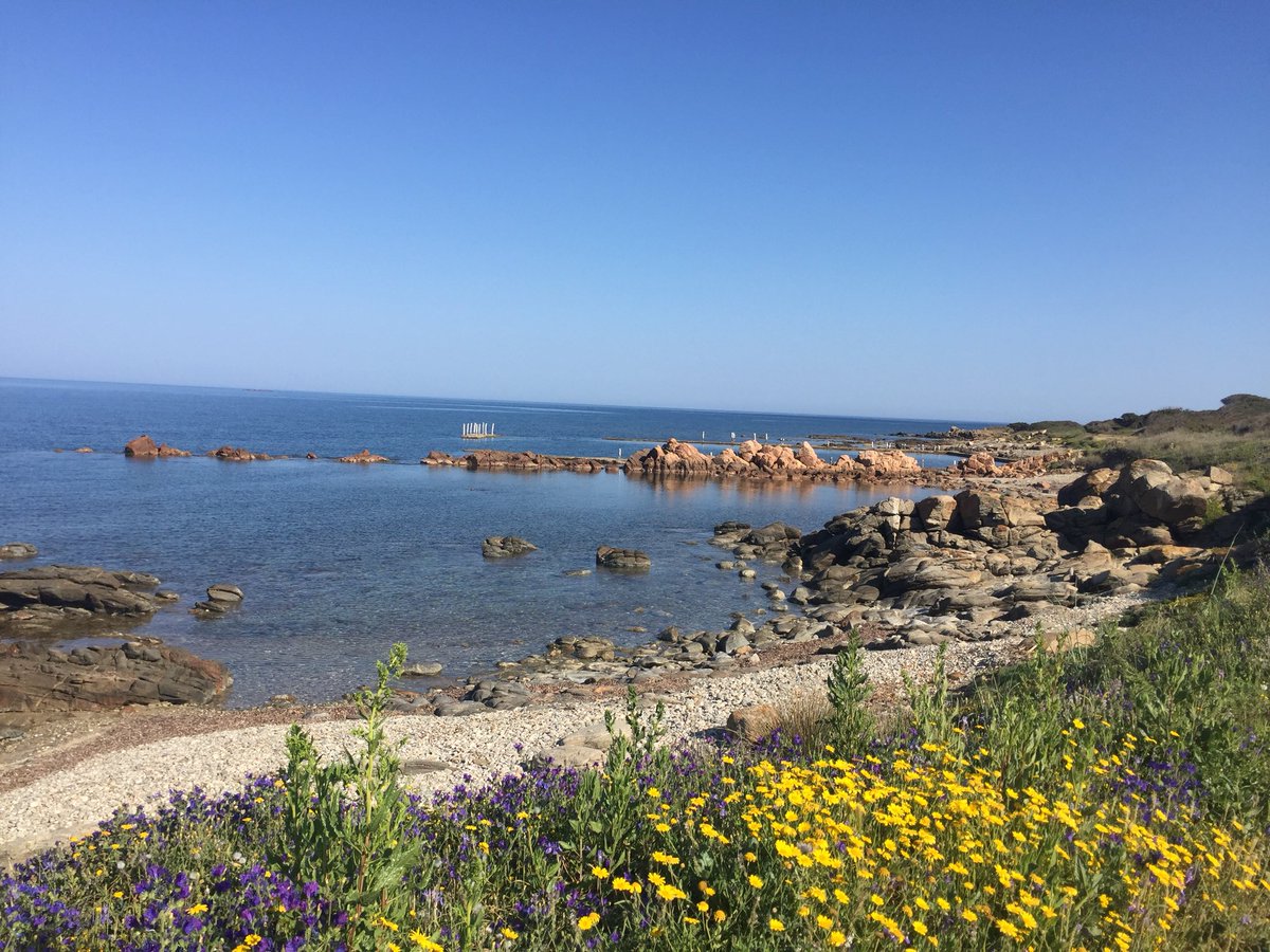 Giovanni Sedda tweet media