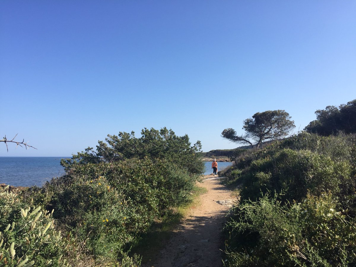 Giovanni Sedda tweet media