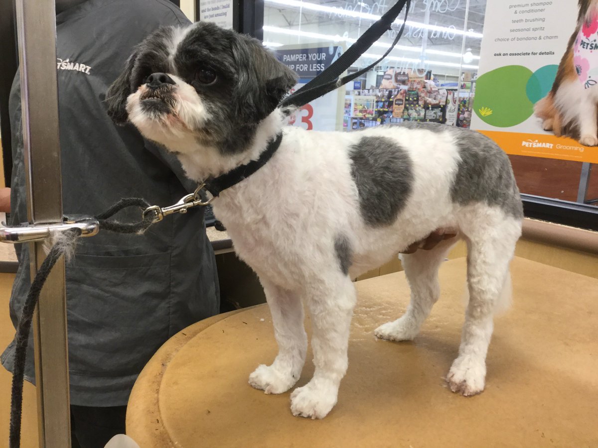 #0733 #nyc #northeastgrooming #extrememakeover Melissa Thompson