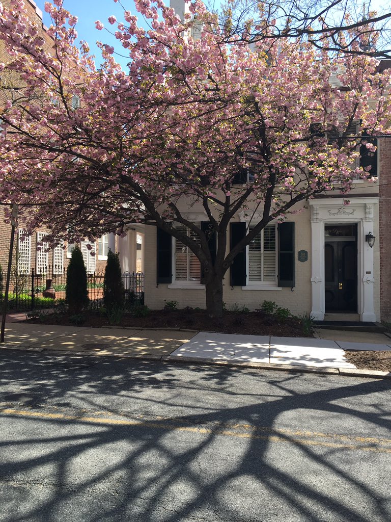 WDCGardener's tweet photo. Interesting street scenes in #Alexandria #va #gardendc #gcvirginia #gcv #hgw #hgw18 @gcvirginia https://t.co/zbrWoxLHpd