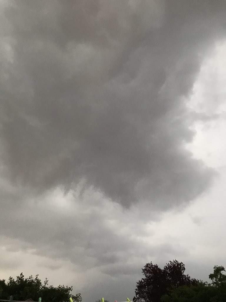 _Garythesnail__'s tweet photo. Although wild #snails live outdoors, I’m quite glad I’m safe in my house watching the #thunderstorm! https://t.co/zOy7ngHESp