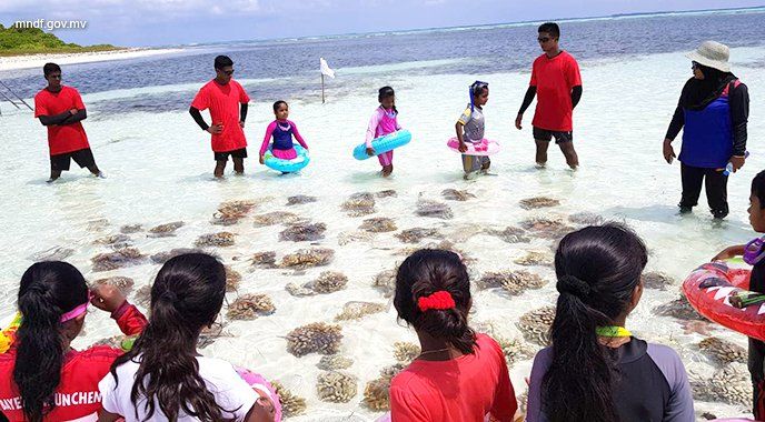 MNDF_mv's tweet photo. 126 Vana Sifainge Dhuvahuge Munaasabathugaa MNDF Northern Area ge Sifain Lh.Maafilaafushi gai Kurendhoo School ge Dharivarunnah Hingi "Faru Koe" Programme ge Therein #MNDF126 https://t.co/BRAl47gHC6