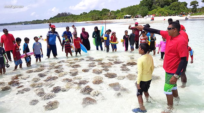 MNDF_mv's tweet photo. 126 Vana Sifainge Dhuvahuge Munaasabathugaa MNDF Northern Area ge Sifain Lh.Maafilaafushi gai Kurendhoo School ge Dharivarunnah Hingi "Faru Koe" Programme ge Therein #MNDF126 https://t.co/BRAl47gHC6