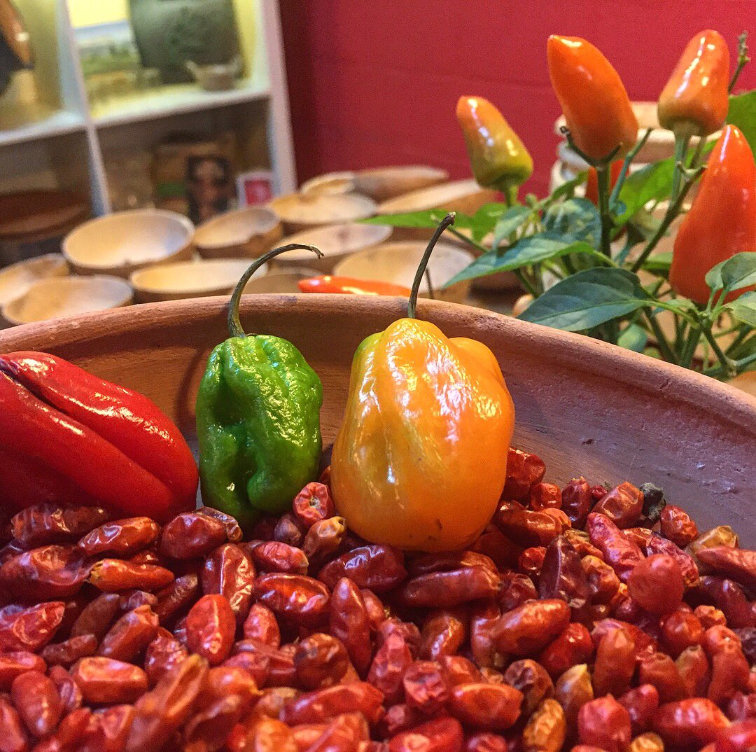 conAntojomx's tweet photo. ¡Encontramos un plan para el fin de semana! Un taller sobre el chile mexicano y ademas comes delicioso. Info tallergastronomico.rp@gmail.com https://t.co/wk0mu2guGB