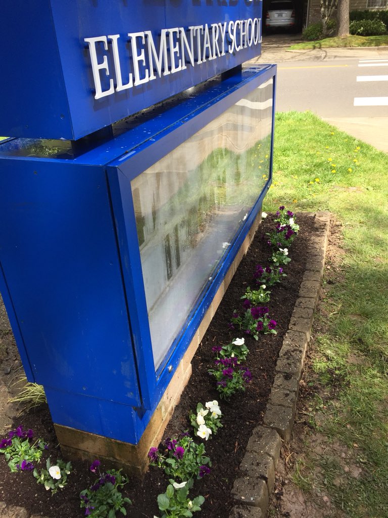 WestridgeES's tweet photo. All clean and freshly planted flowers! Thank you PTSO 💕 https://t.co/j5CLbSEX1Z