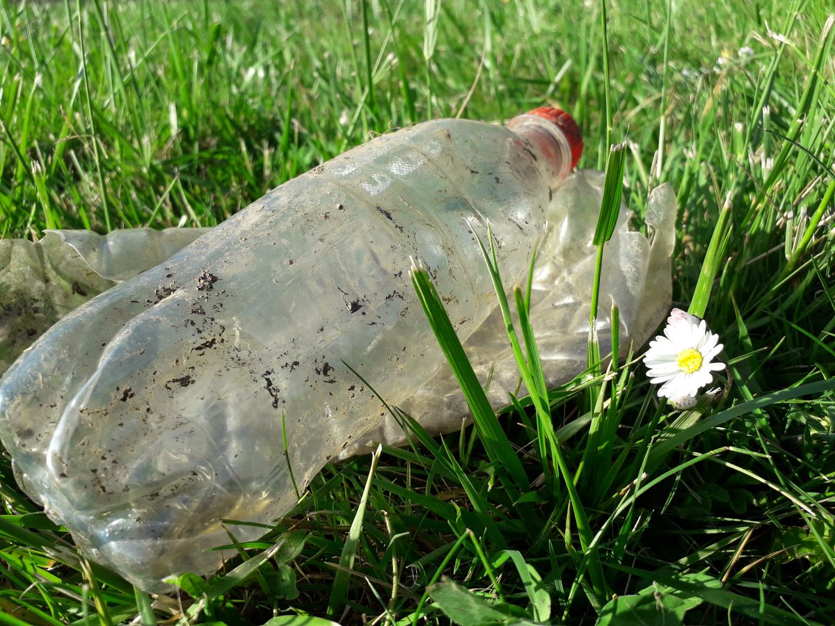 GoGeocaching's tweet photo. ♻️ Wonderful! How many #geocachers out there plan to participate in #CITO week? RT @Les_Piratons: 🌞♻️CITO finish, souvenir ok! Clean planet cache, many bags ♻️ 🌞
#geocaching #CITO #EVENT @GoGeocaching https://t.co/gl7hSQWLw6