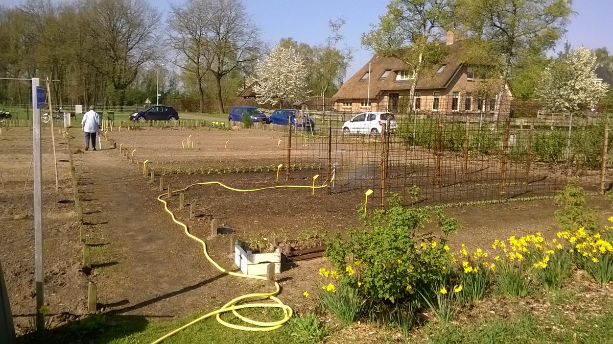 Het prachtige zonnige weer zorgt ervoor dat er al gesproeid moet worden. De peulvruchten ontwikkelen zich goed.