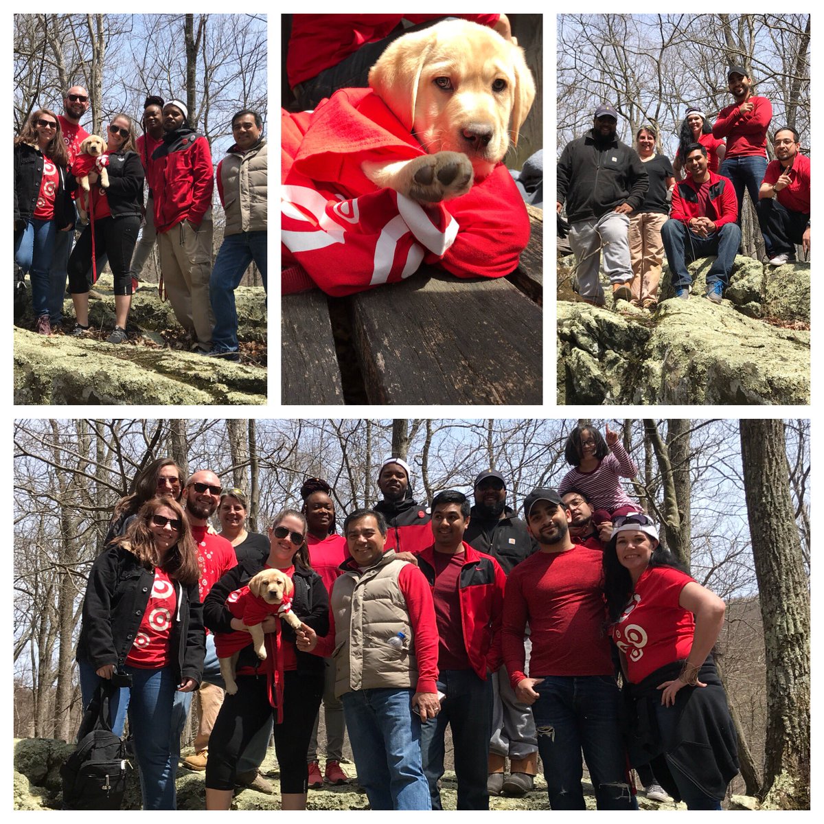 TargetKate's tweet photo. Target squad goals! T-1046 and T-1137 teaming up for #NationalVolunteerWeek with the cutest helper ever. @SrijanShres @LisaJensen74 https://t.co/ctpEyPLOAi