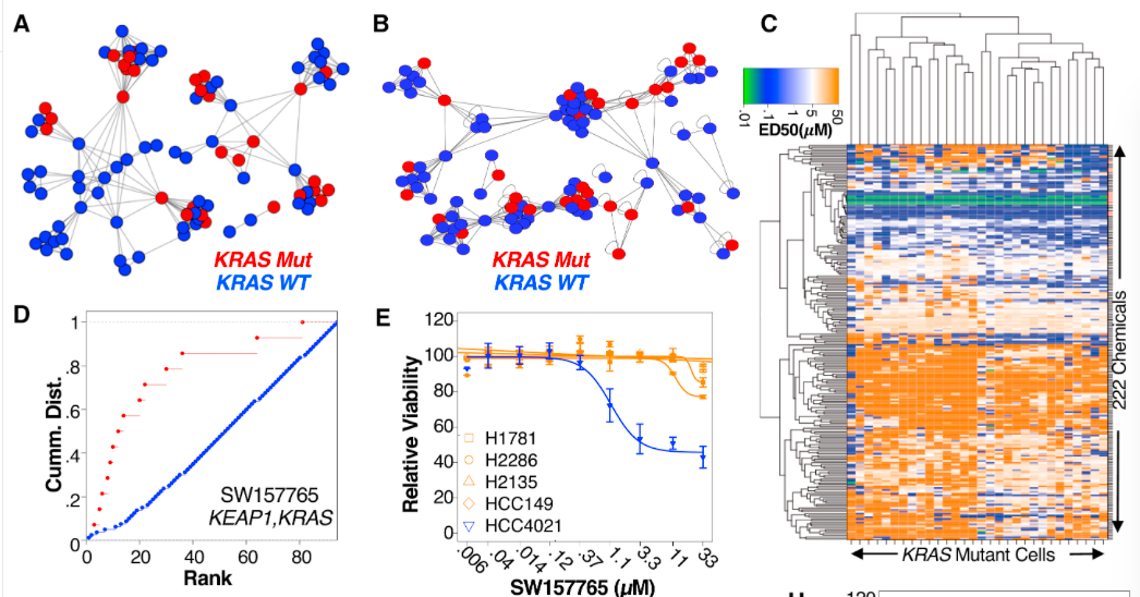 mmw_lmw's tweet photo. #PersonalizedMedicine | A #ChemistryFirst Approach for identifying druggable targets in LungCancer | MichaelWhite @UTSWNews @cellcellcp https://t.co/7N4nZ0HPhw https://t.co/rAdcExnL2d