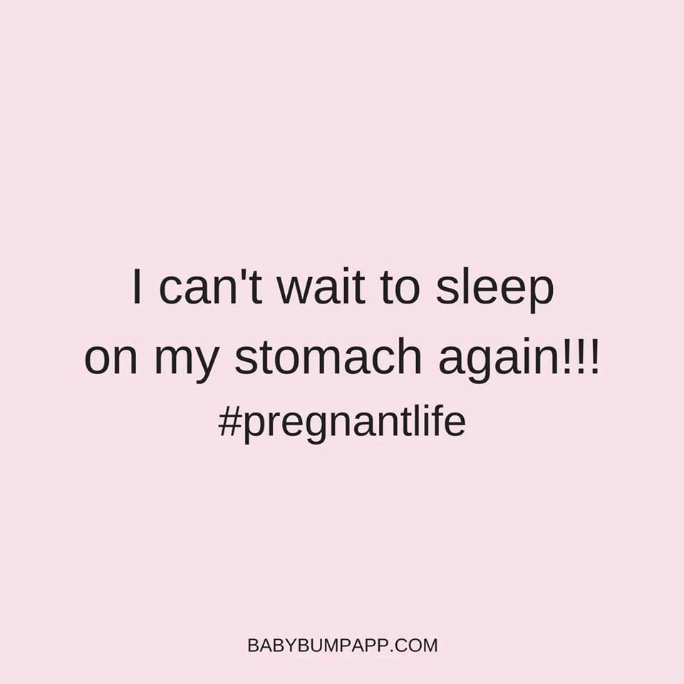 Baby Bump tweet media