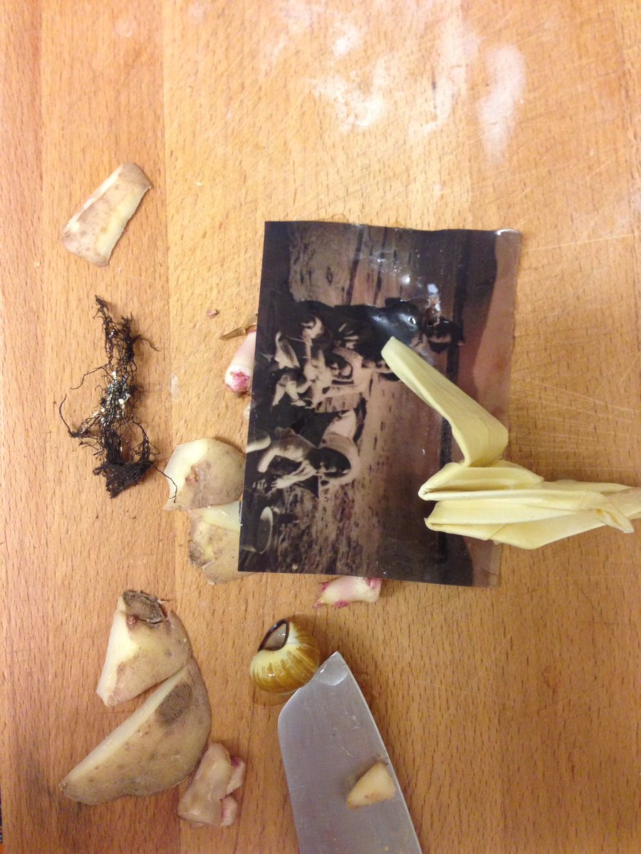 oho_co's tweet photo. Fun with family photos, memorabilia, carrageenan moss and agar...#invisibleirish #objectsofmemory #foodart @MeehanEm @carolpbreen https://t.co/iWhPnOLt9S