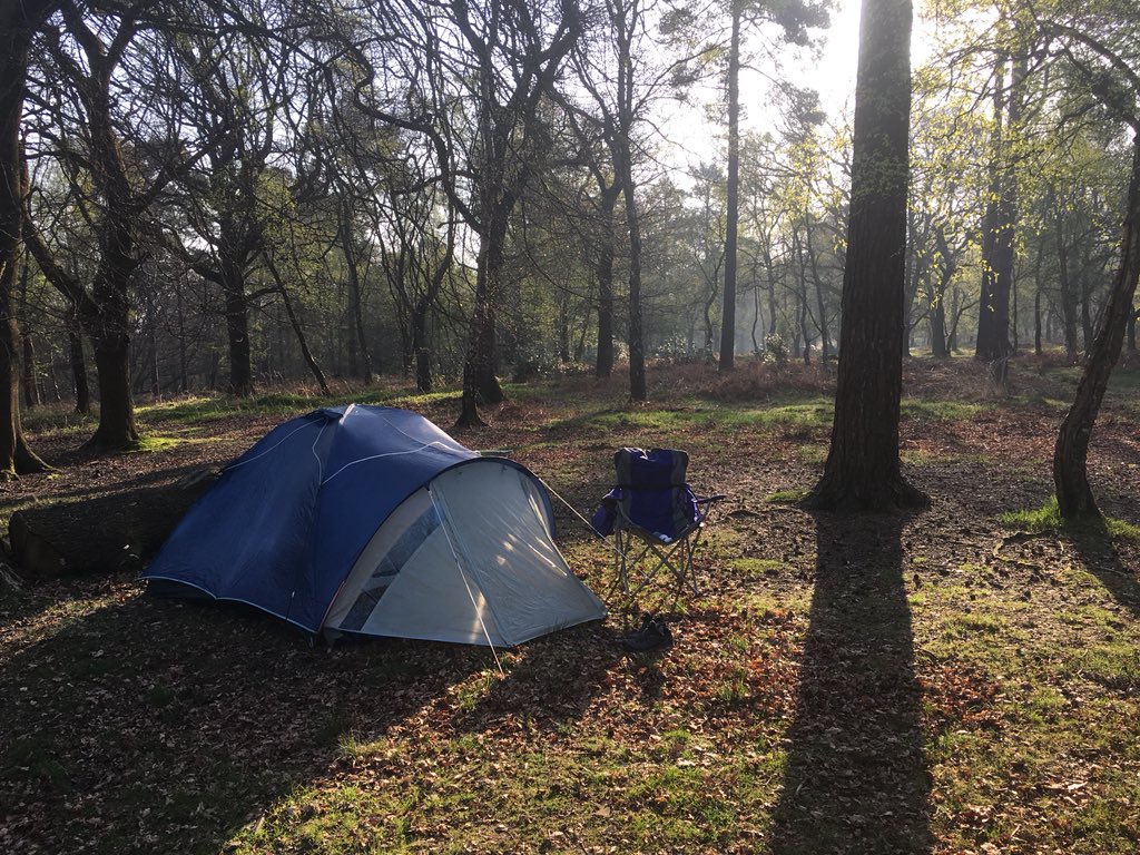 AndyPope12's tweet photo. Great day in the woods https://t.co/0o7imQqtaN