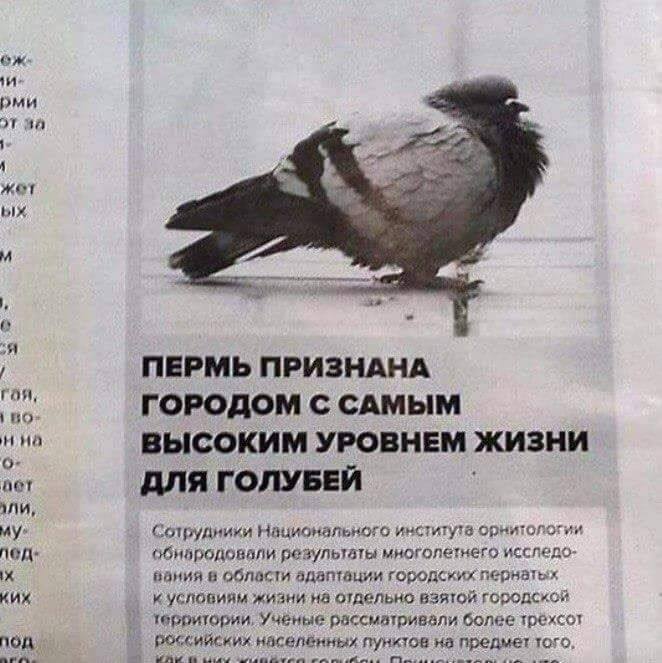 DbVMB-XXkAAkPWL.jpg