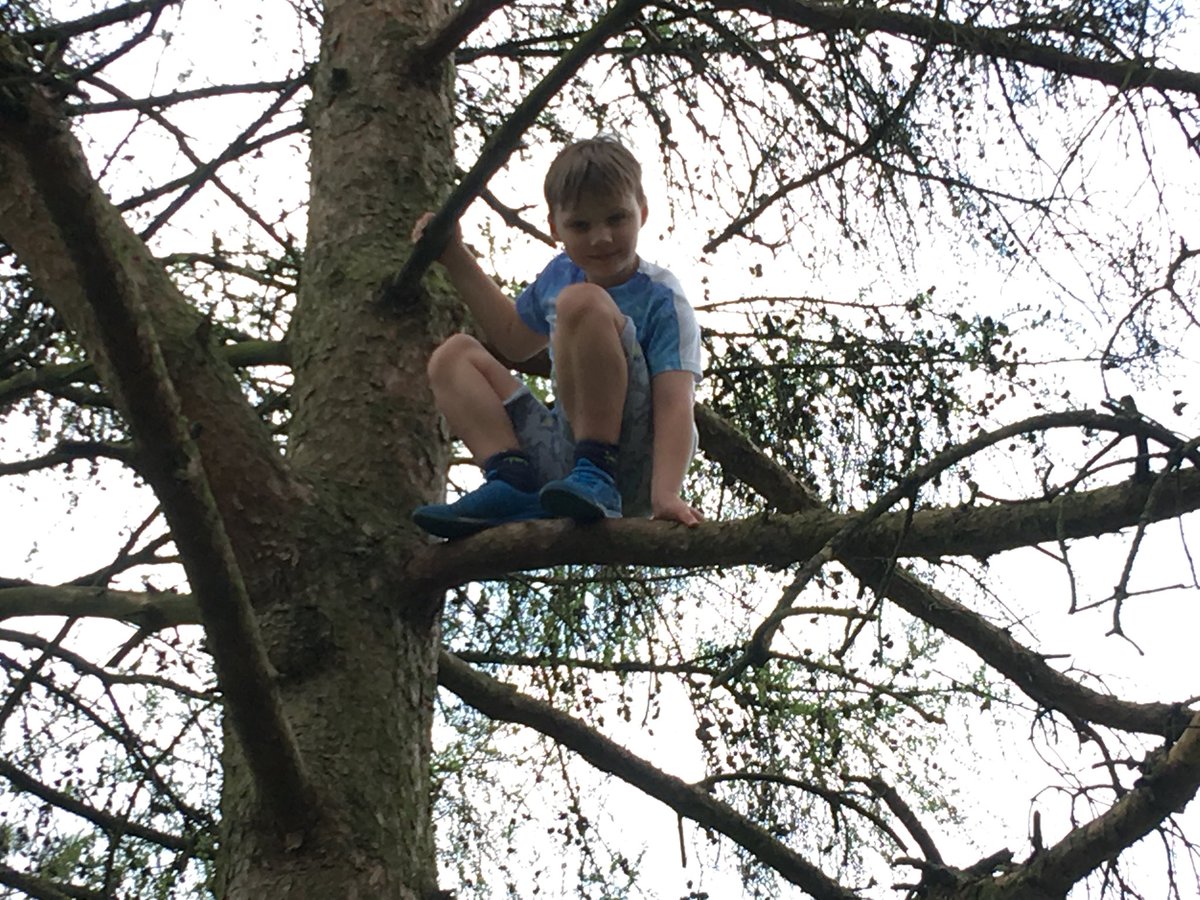 robertsonem's tweet photo. @MaxRoe4 @LongMeadowSch @MissPeacockLM @MissTofaniLMS enjoying Wendover Woods today - climbing high heights and collecting plants https://t.co/y22ilXqmvs