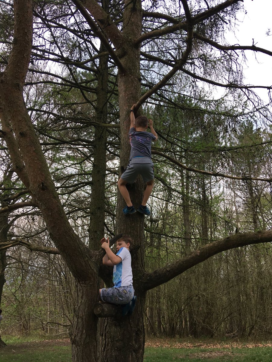 robertsonem's tweet photo. @MaxRoe4 @LongMeadowSch @MissPeacockLM @MissTofaniLMS enjoying Wendover Woods today - climbing high heights and collecting plants https://t.co/y22ilXqmvs