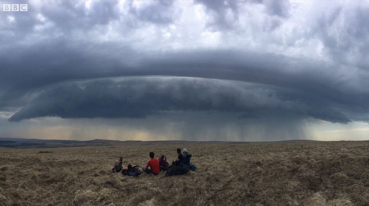 BBC South West tweet media