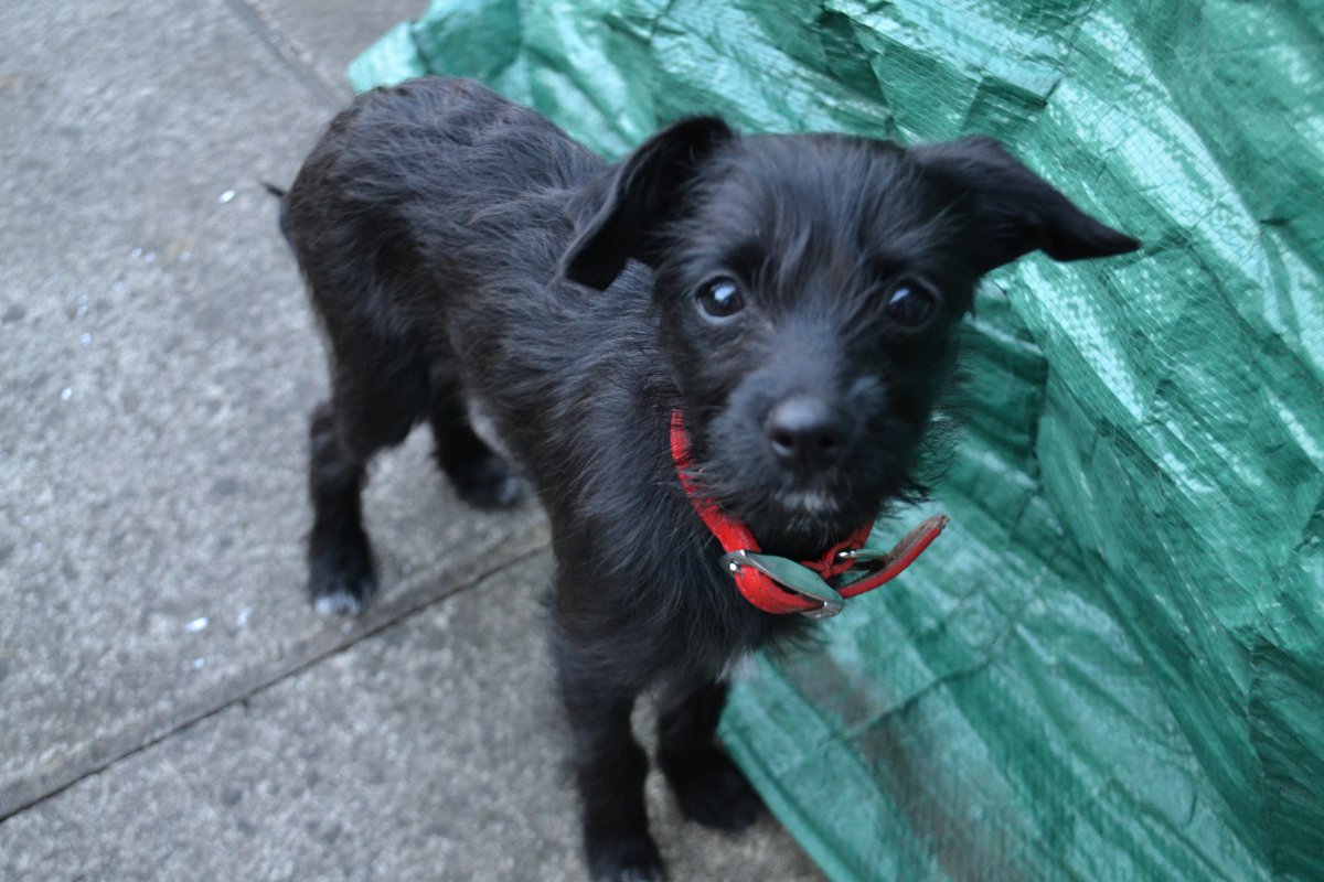 Ourgreatproject's tweet image. There's just something primal about starting a fire! 
#FireStarter #SaturdayKitchen #CookOutside