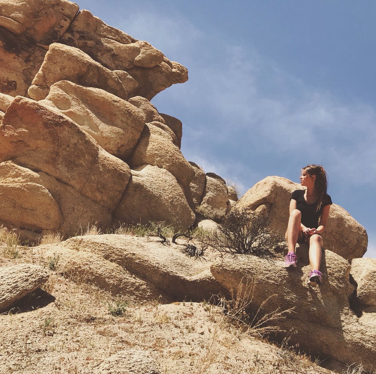 TristaK67's tweet photo. Joshua Tree https://t.co/zoQuC0D077