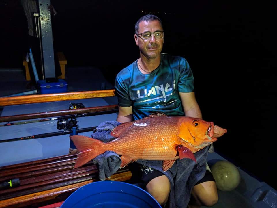 VivaMaldives's tweet photo. Fishing on sunset.
#oceanbeachinn #Maldives #fishing #australianfish #sunset #ocean #traveling #OceanView #fisherman #BigGame #fun #vacation #holiday #familytravel #redsnaper #coralfish #lodge #dream #love #hogging #relaxing #love #localisland #guesthouse https://t.co/NgyEAs5gw1