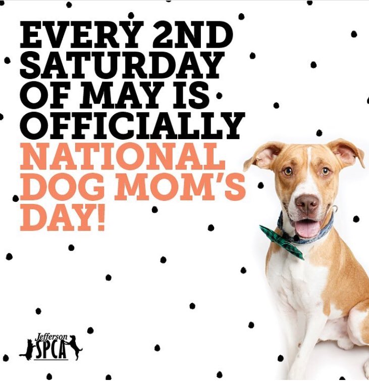 dog mom's day