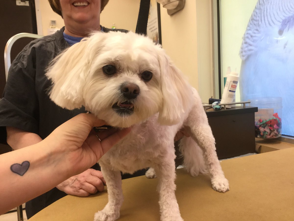 #0733 #nyc #northeastgrooming #extrememakeover Jackie Bowen