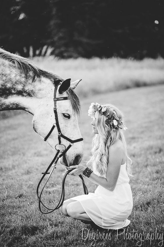 This a very nice picture we found...#horsepictures #cutehorses #horseimages