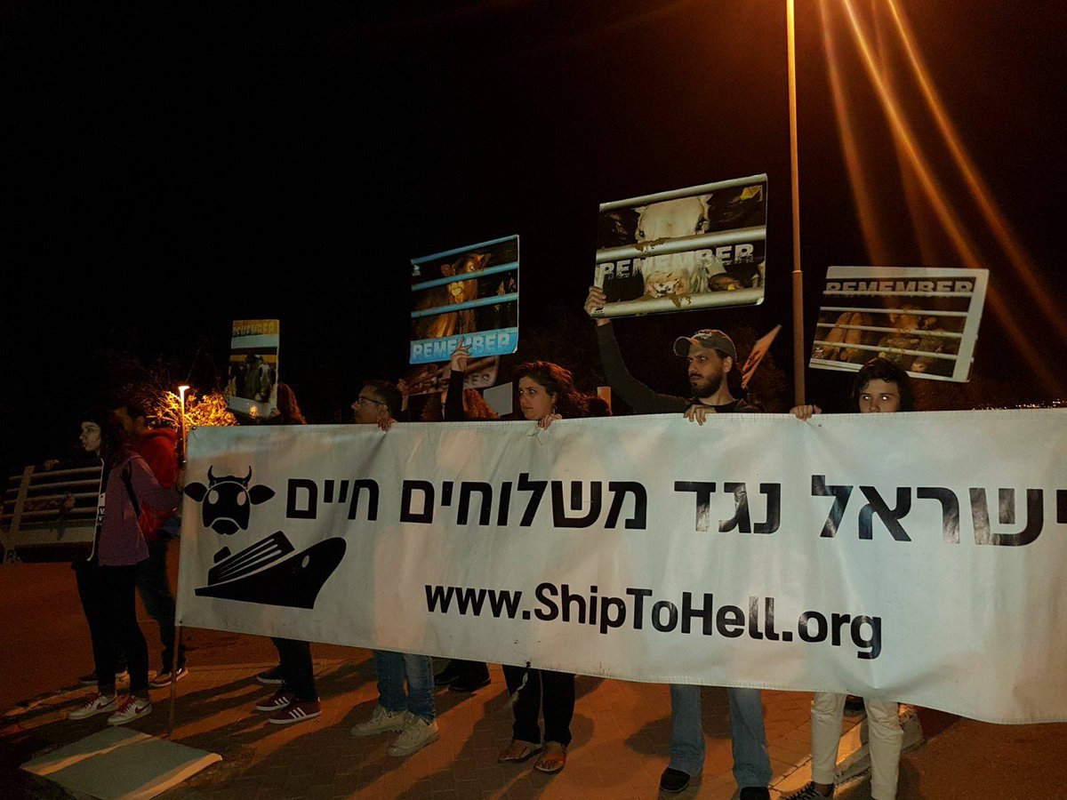 BanLivExport_IL's tweet photo. Concerned citizens protested today in front of the Minister of Agriculture, Uri Ariel's house to remind him that the calves and lambs are still suffering and his responsibility is to protect them
הערב מזכירים לאורי אריאל שהעגלים והטלאים עדיין סובלים בחסות המשרד שלו https://t.co/WoDHIPYC6v