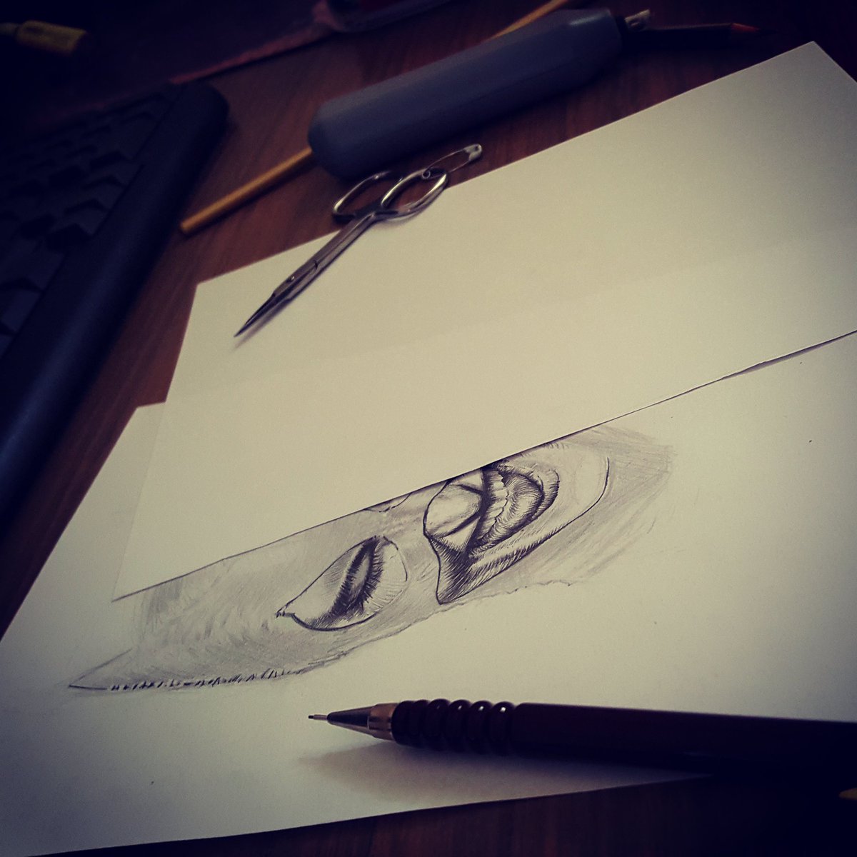 Antonio Zuccarello (Zuccarello_A) Twitter