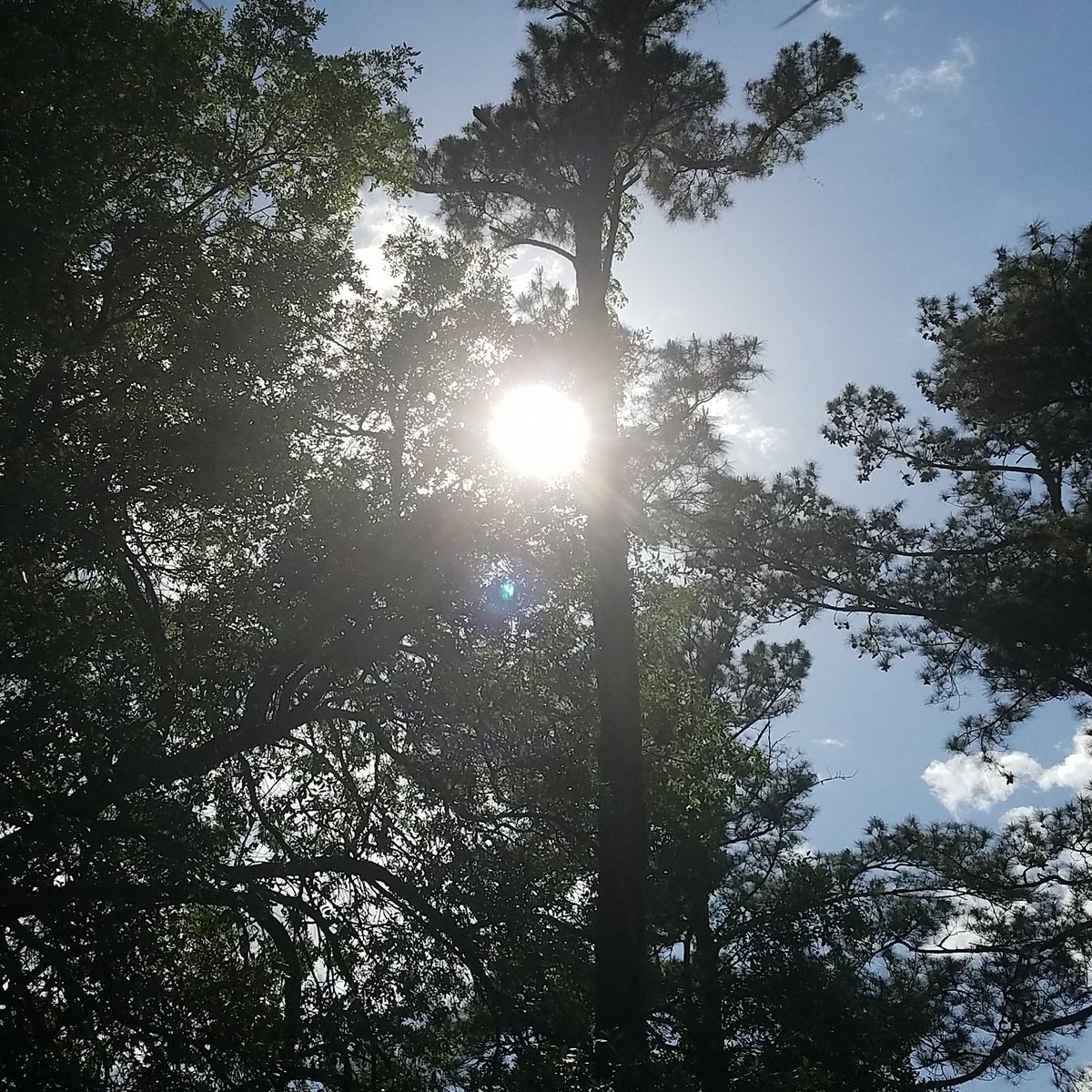 MichaelJEveryda's tweet image. 😆😆 #FlowertownTweets #ScTweets #Supportyourlocalsheriff #LOWCOUNTRY @mkreber @jlharrison_news