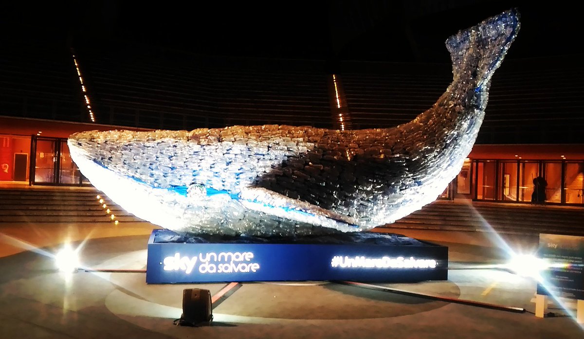 GinevraJohnson's tweet photo. La balena illuminata! @AuditoriumPdM #FestivaldelleScienze #NationalGeographic #UnMareDaSalvare #Sky https://t.co/nB2ejQPmhd