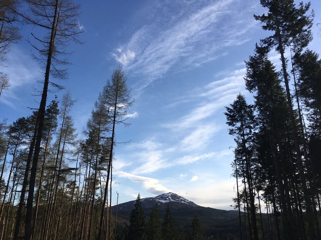 Jo_Rodgers_'s tweet photo. Oooh it is good to be home!
Wee snap from my run this evening - it’s lovely to see trees & hills again #Lochaber #marathontraining #bentee https://t.co/MzfDdAhRVV