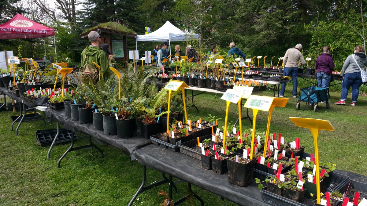 BestColorVideo's tweet photo. Native Plant Sale @SwanLakeNature Sun. 10-3pm #Earth Day #ParksCanada @crd @HabitatAcqTrust @garryoakeco https://t.co/aDJv2b0oRU