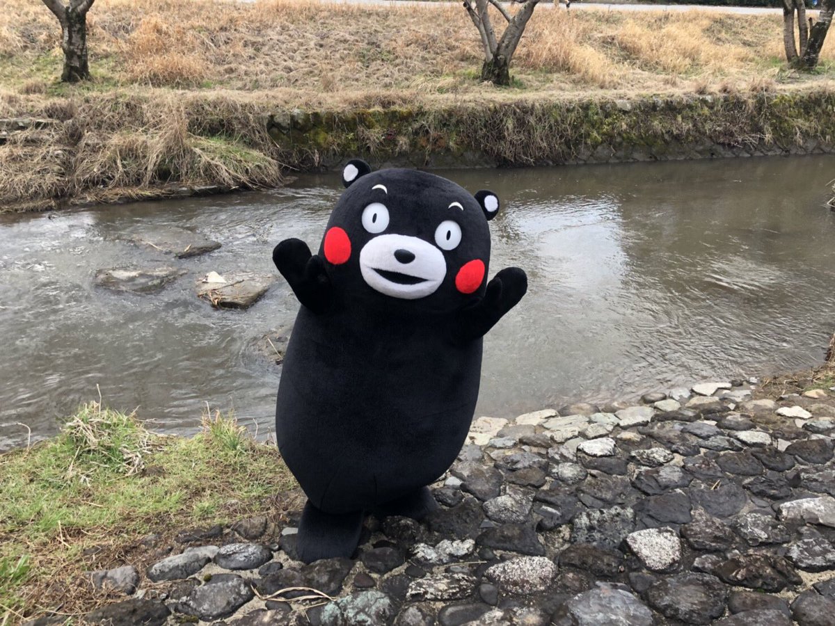 55_kumamon's tweet photo. おはくま〜！今日もはりきっていくモン！ https://t.co/kZ9vc2BcDf