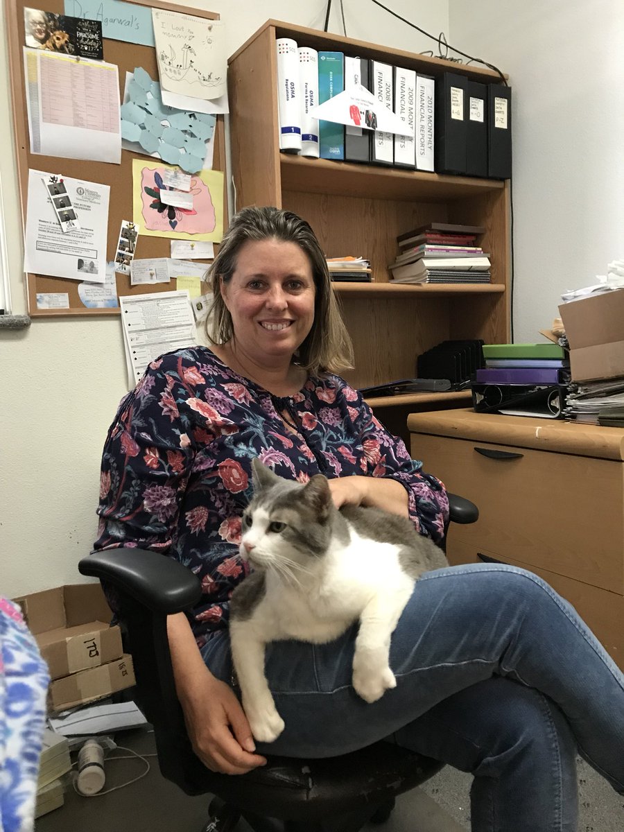 Arrowdogandcat's tweet photo. Meet our celebrity...Biggie! Believe it or not but Biggie used to be 39lbs! With the help of Dr Agarwal and our amazing staff Biggie is now happy and healthy!! Make sure when you come in to say hello to our furry friend! https://t.co/uwKF1JT1dR